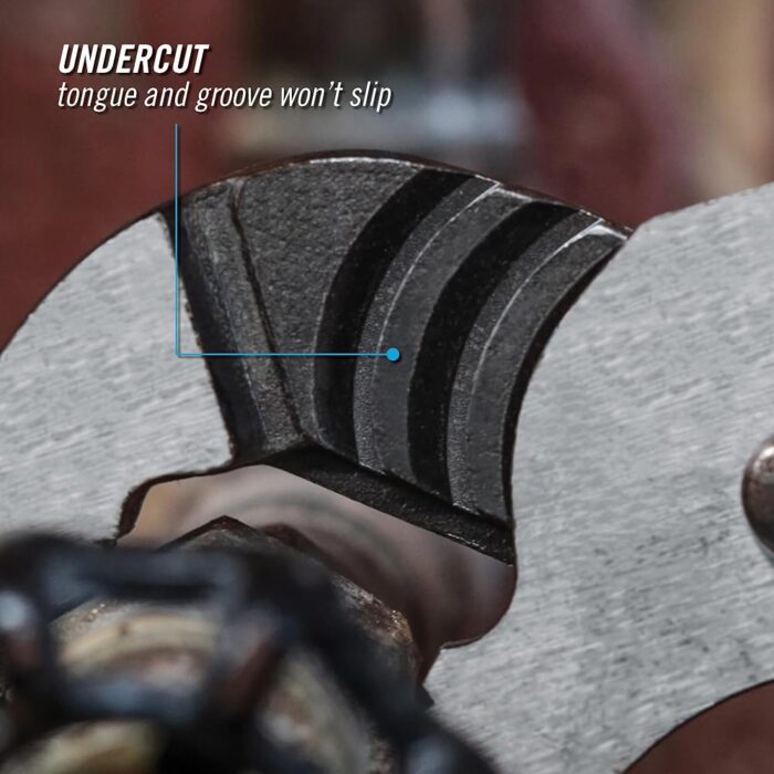 71gCig2N7oL.jpg._SL1000_.jpg 71gCig2N7oL.jpg._SL1000_.jpg