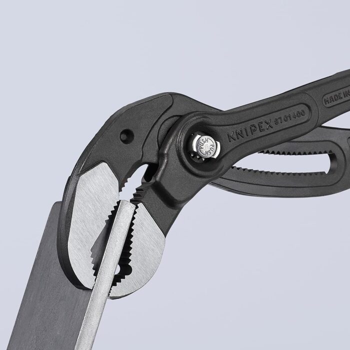 81Hkh8FqotL.jpg._SL1000_.jpg 81Hkh8FqotL.jpg._SL1000_.jpg