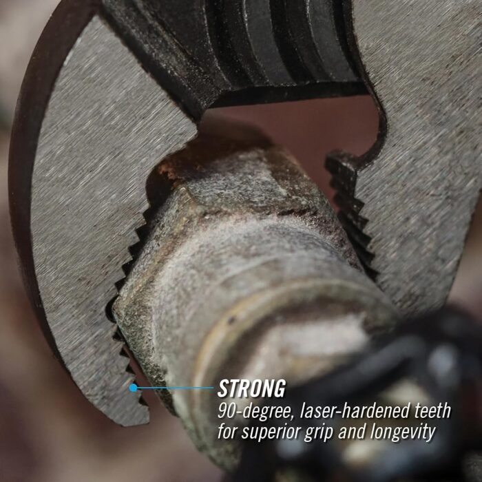 81svrQFFz3L.jpg._SL1000_.jpg 81svrQFFz3L.jpg._SL1000_.jpg